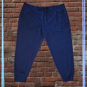 Women's Blue Jogger Pants